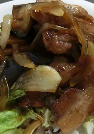 豚バラとナスのがっつり丼-レシピのメイン写真
