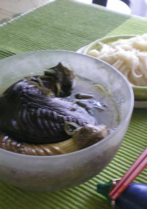 人生損した...なすそうめん-レシピのメイン写真