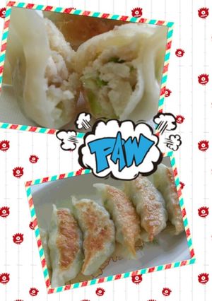 ヘルシー餃子-レシピのメイン写真