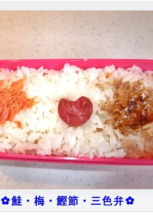 ✿鮭・梅・鰹節の三色弁✿-レシピのメイン写真