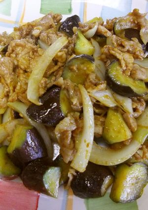 めっけもん♪簡単！秋なすのカレー炒め★-レシピのメイン写真