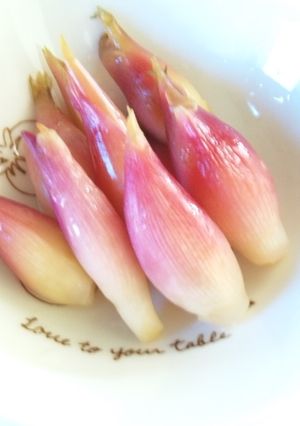 茗荷ピクルス*-レシピのメイン写真