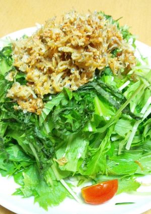 カリカリしらすと山盛り野菜の豆腐サラダ-レシピのメイン写真