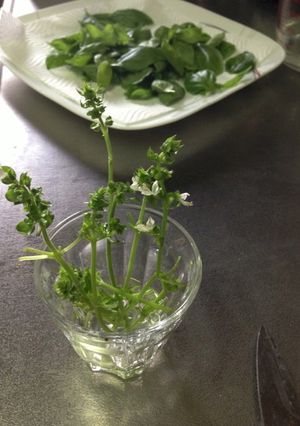 バジルの茎でチキンソテー-レシピのメイン写真