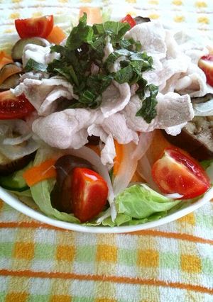 たっぷり野菜の冷しゃぶサラダ-レシピのメイン写真