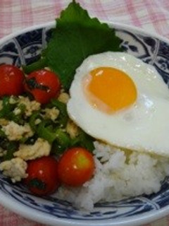青じそで☆ガパオ風ライス-レシピのメイン写真