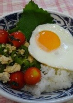 青じそで☆ガパオ風ライス-レシピのメイン写真