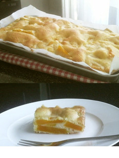 簡単しっとり焼きっぱなしかぼちゃケーキ-レシピのメイン写真