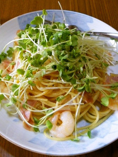 カイワレのせ☆海老とベーコンのパスタ-レシピのメイン写真