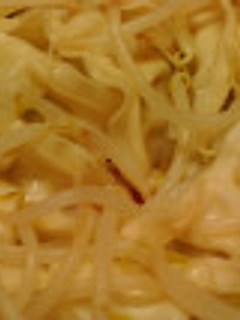 レンジで3分!簡単蒸し餃子-レシピのメイン写真