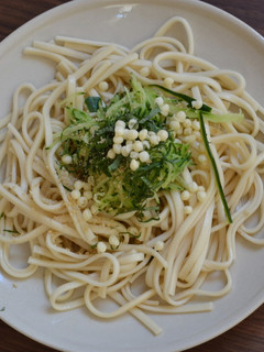 梅酢でさっぱり冷やしうどん-レシピのメイン写真