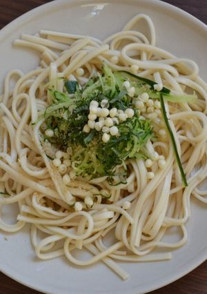 梅酢でさっぱり冷やしうどん-レシピのメイン写真