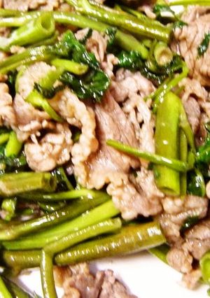 筒菜と牛肉のオイスター炒め-レシピのメイン写真