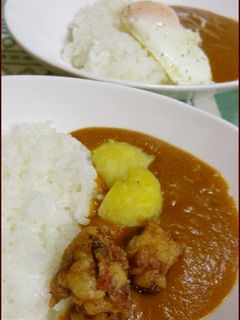 「ためしてガッテンカレー」+α-レシピのメイン写真