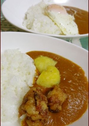 「ためしてガッテンカレー」＋α-レシピのメイン写真