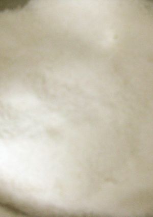 簡単米粉の作り方-レシピのメイン写真