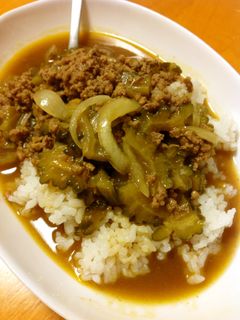 ゴーヤの挽肉カレー-レシピのメイン写真