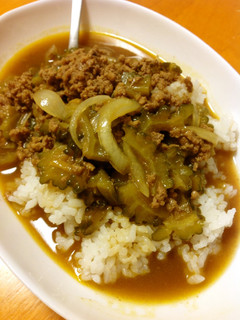 ゴーヤの挽肉カレー-レシピのメイン写真