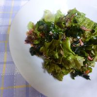 基本からアレンジまで！思わずつくりたくなる「ワカメ エビ 酢のもの