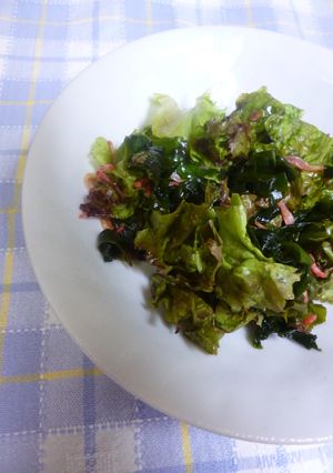 サニーレタスとわかめの酢の物-レシピのメイン写真