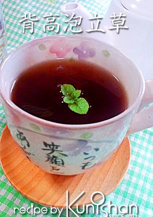 セイタカアワダチソウ茶♪-レシピのメイン写真