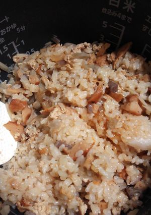 おでんの残りで炊き込みご飯-レシピのメイン写真