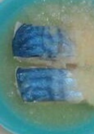簡単 白身魚のみぞれ煮-レシピのメイン写真