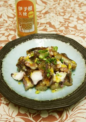『伊予柑大使』でなすの炒め物-レシピのメイン写真