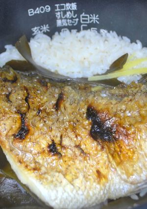 炊飯器で簡単♪　鯛めし♪-レシピのメイン写真