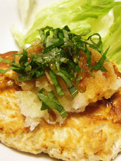 節約♦もやし豆腐ハンバーグ-レシピのメイン写真