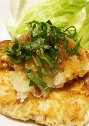 節約♦もやし豆腐ハンバーグ-レシピのメイン写真