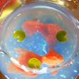 スイカの金魚鉢ゼリー