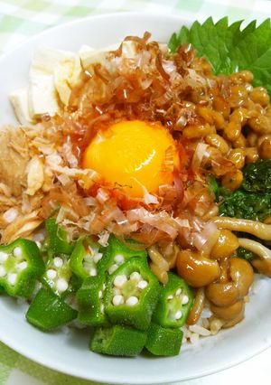 疲労回復！豆腐と夏野菜のネバネバ丼-レシピのメイン写真