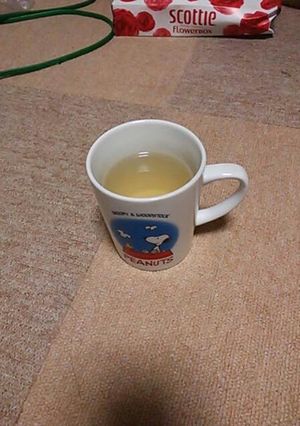 簡単ほっかレモン-レシピのメイン写真