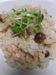 きのこと秋鮭の炊き込みご飯-レシピのメイン写真