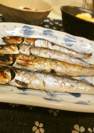 ＊朝食に＊焼きめざし＊-レシピのメイン写真