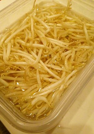 これで長持ち もやしの保存方法-レシピのメイン写真