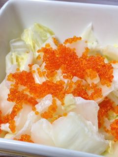 白菜とトビコのマヨサラダ-レシピのメイン写真