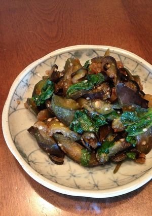 茄子の四川風浅漬け-レシピのメイン写真