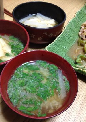 栄養満点!薬味代わりのモロヘイヤ♡-レシピのメイン写真