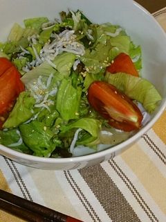 カルシウムタップリ!しらす干しサラダ-レシピのメイン写真