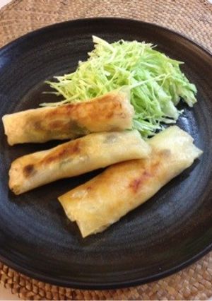 洋風★明太ポテト春巻き-レシピのメイン写真
