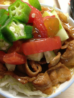 焼肉丼は野菜を食べるチャンスだぜ!-レシピのメイン写真