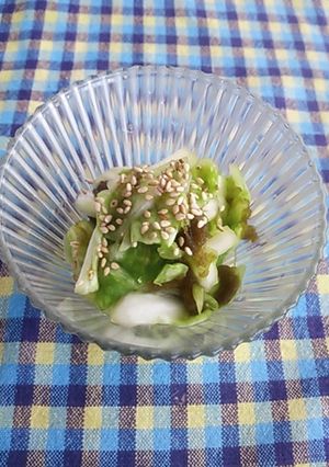キャベツととろろ昆布のもみもみ和え-レシピのメイン写真