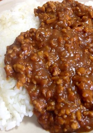 煮込み１０分♪かんたんキーマカレー-レシピのメイン写真