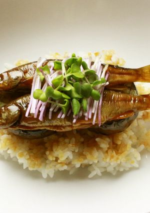 イワナの甘辛ふんわり煮　秋ナス添え-レシピのメイン写真
