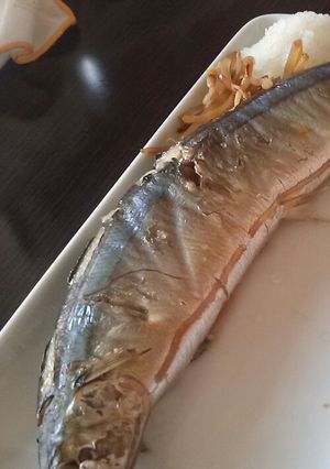 フライパンで 秋刀魚のもやし蒸し焼き-レシピのメイン写真