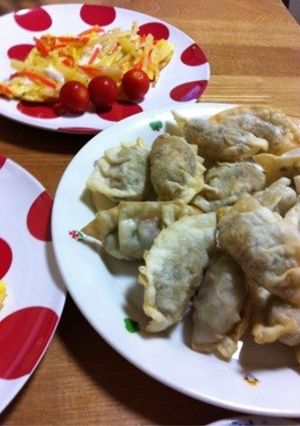 揚げしそ餃子-レシピのメイン写真