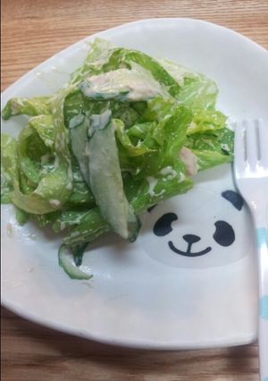 簡単!レタスとキュウリのツナマヨサラダ-レシピのメイン写真