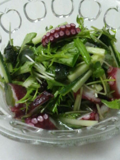 水菜とタコのさっぱりサラダ☆-レシピのメイン写真
